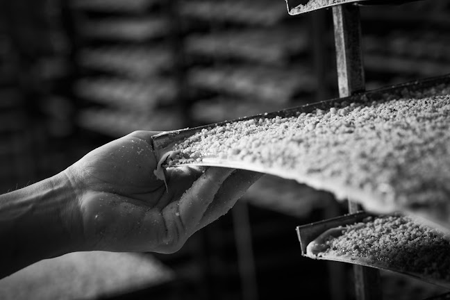 Pekarna in slaščičarna Jurček - Domžale