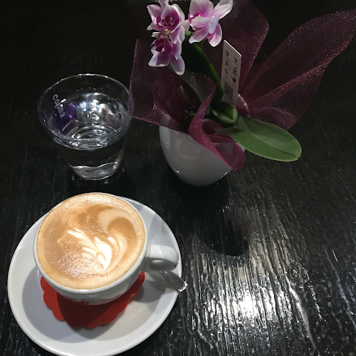 Klub Vida Ingrid Hodnik s.p.