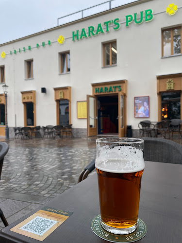 Harat's pub - Gastronomija in gostinstvo