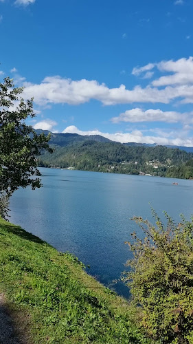 Restavracija Vila Ajda Dax & apartma - Bled