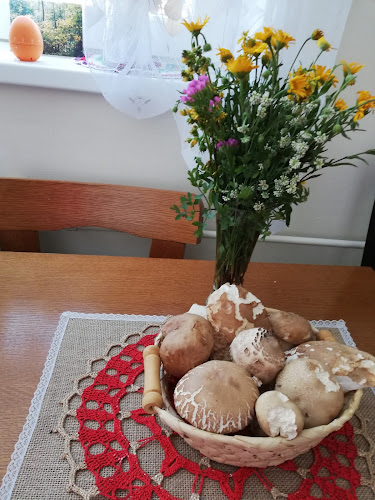 Bar Sandra - Petrovče