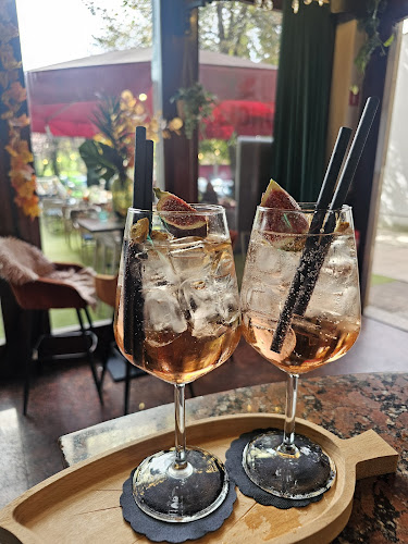 Bar DŽUNGLA - Celje