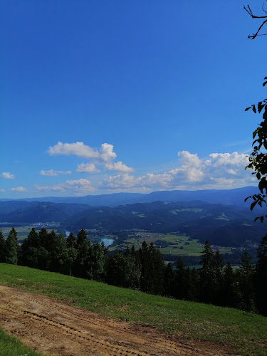 Opinii despre Bar Glavar, Angela Pečovnik s.p. în Muta - Gastronomija in gostinstvo