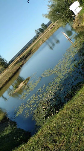 Comentarii opinii despre Oaza GRILL