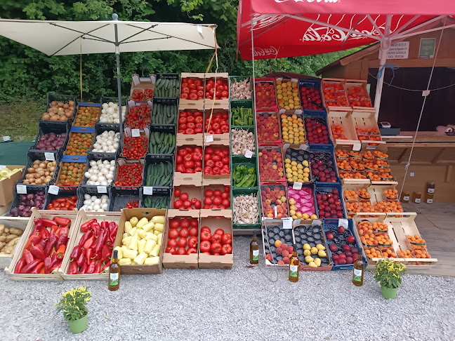 Opinii despre Gostilna Potok în Jelšane - Gastronomija in gostinstvo