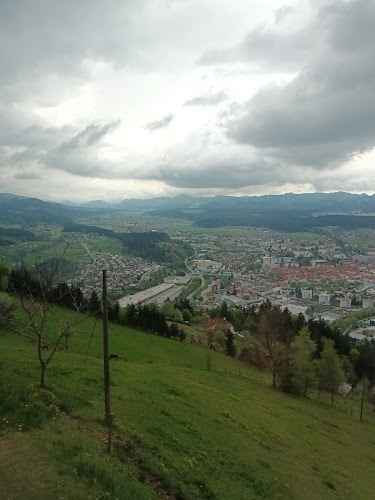 Comentarii opinii despre TC Rahtel