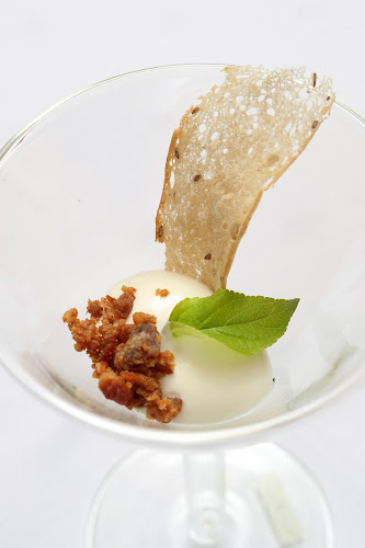 Saksida, wine & camping resort - Gastronomija in gostinstvo