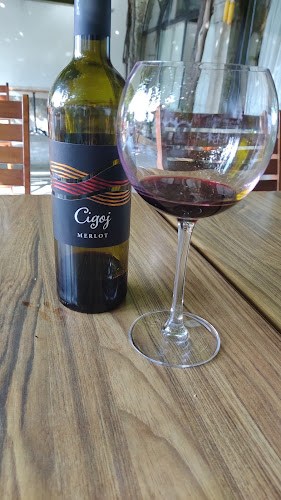 Comentarii opinii despre Arkade turizem