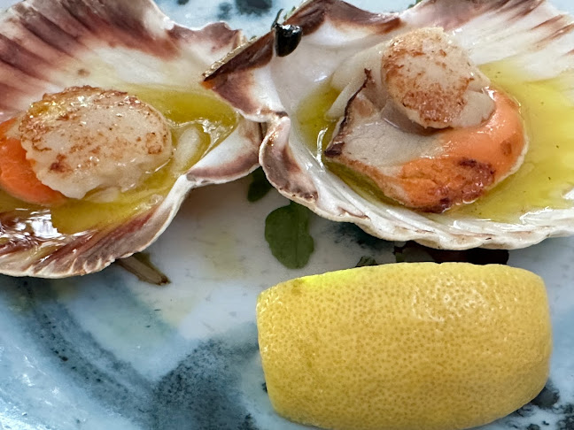 Gostišče Ribič d.o.o. Portorož