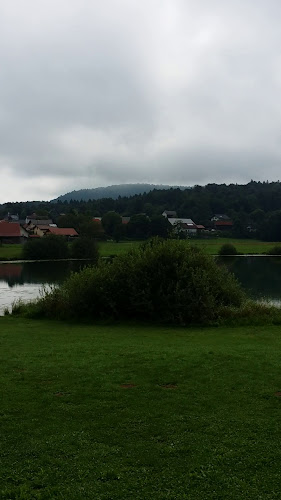 Opinii despre Gostilnica Jezero în Preserje - Gastronomija in gostinstvo