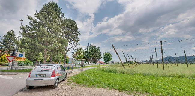 Opinii despre Gostilna in pizzerija Maestro în Petrovče - Gastronomija in gostinstvo