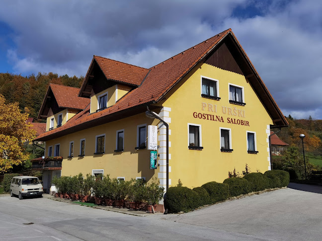 Gostilna SALOBIR - Dobje pri Planini