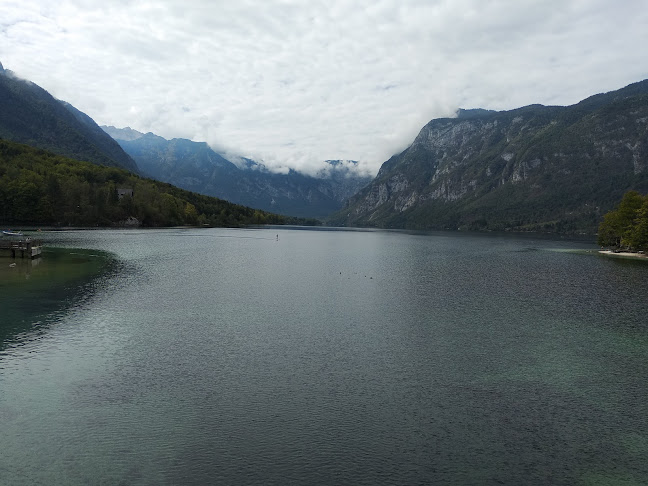 Comentarii opinii despre Center Restaurant