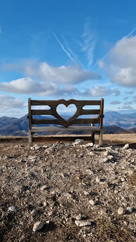 Comentarii opinii despre Lisca