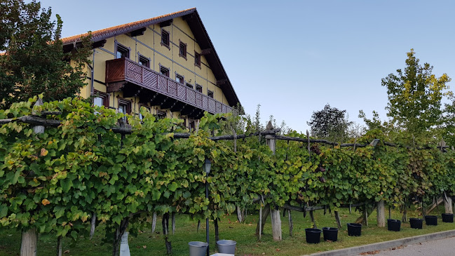 Comentarii opinii despre Jernej Frangež - vinotoč