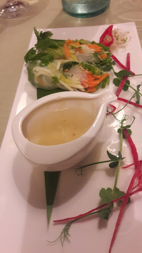 Opinii despre Shambala în Ljubljana - Gastronomija in gostinstvo