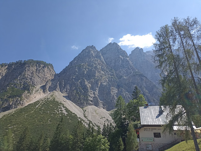 Koča na Gozdu - Gastronomija in gostinstvo