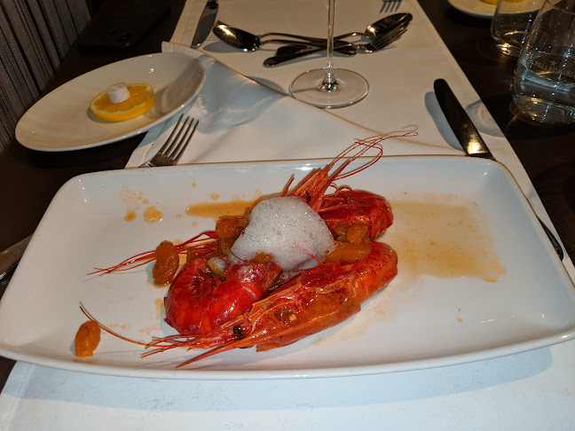 Maribor is the Future