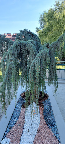 Cesta na Roglo 11j, 3214 Zreče