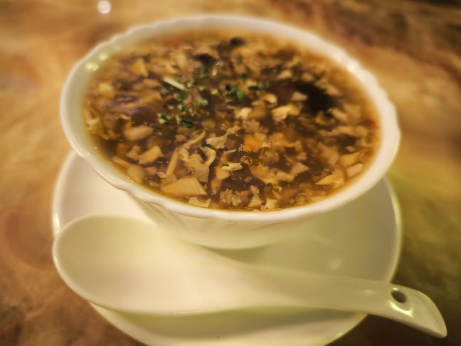 Dupleška cesta 133, 2000 Maribor