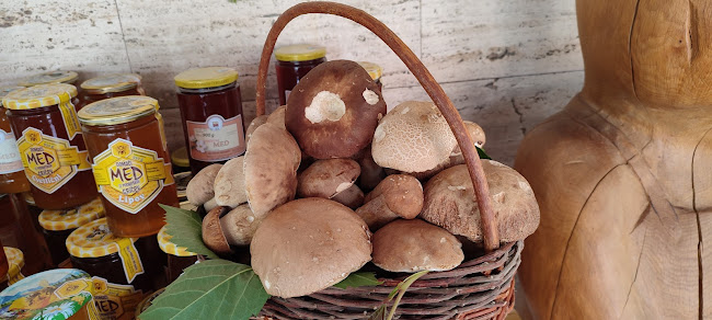 Restavracija Isabella Podgrad Slovenia ⭐⭐⭐⭐⭐ - Gastronomija in gostinstvo