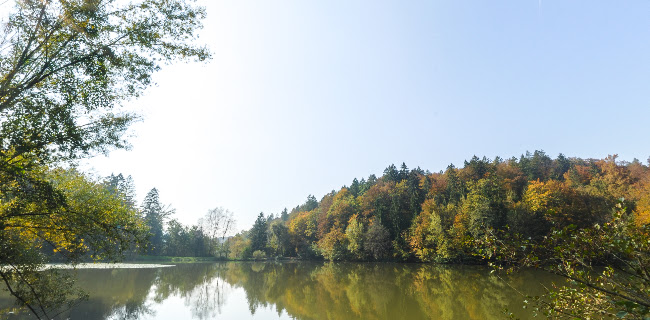 GOSTILNA RIBNIK Damjan Golob s.p. - Brestanica
