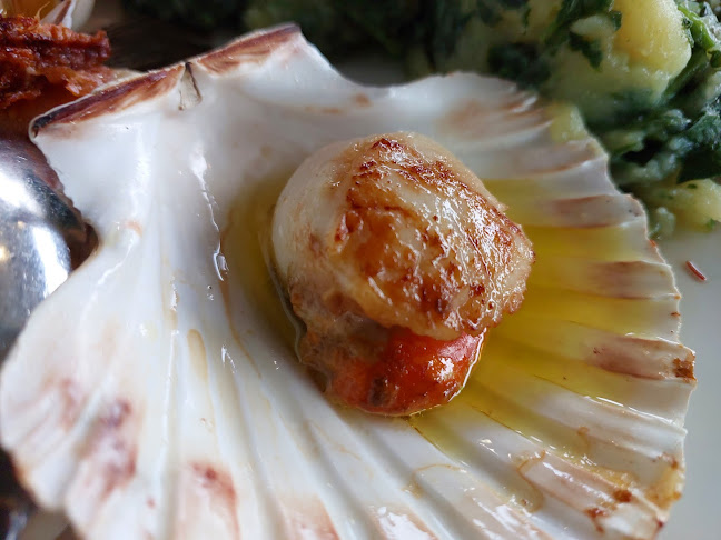 Obala 26, 6320 Portorož