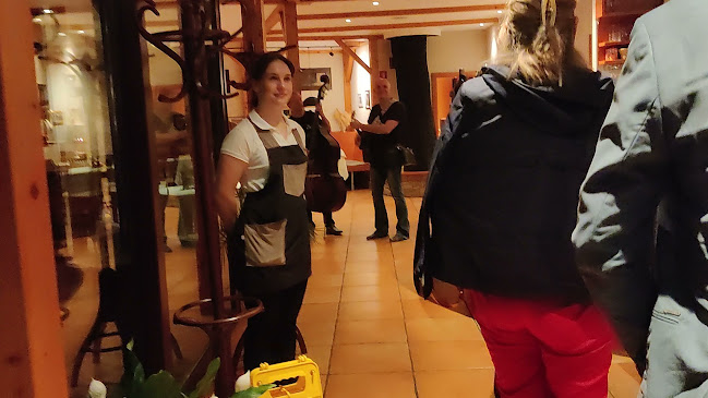 Opinii despre Gostilna in slaščičarna Jakše, Borut Jakše s.p. în Novo mesto - Gastronomija in gostinstvo