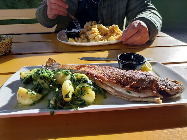 Ribiški dom Velenje nov najemnik od 2023 - Velenje