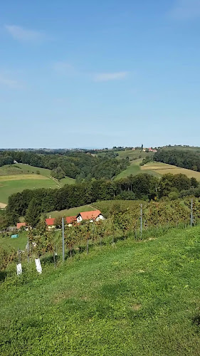 Svetinje 21, 2259 Ivanjkovci