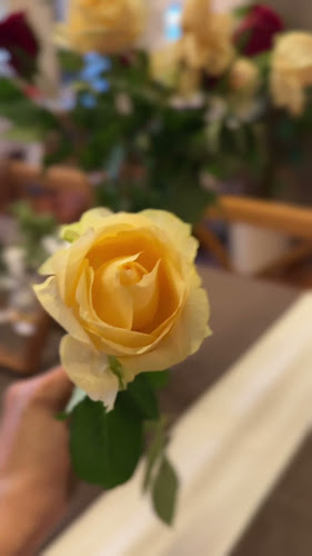 Opinii despre Beli labod 2（白天鹅餐厅） în Ljubljana - Gastronomija in gostinstvo