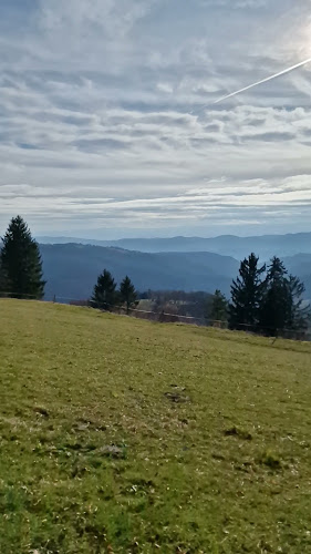 Opinii despre Lisca în Sevnica - Gastronomija in gostinstvo