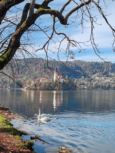 Wine bar & Restaurant Čarman - Bled
