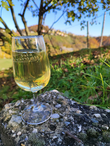 Ptujsko morje - Ptuj