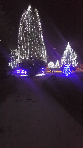 Comentarii opinii despre Paviljon Park