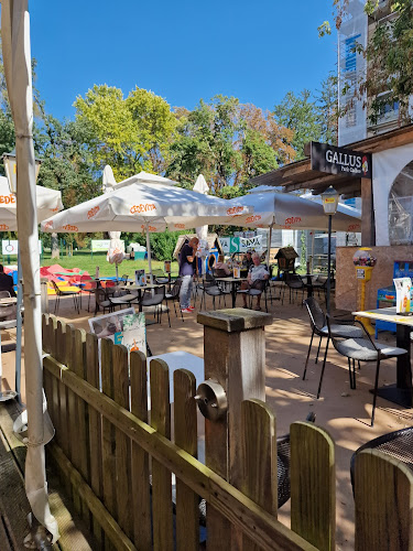 Comentarii opinii despre Gallus Park Coffee