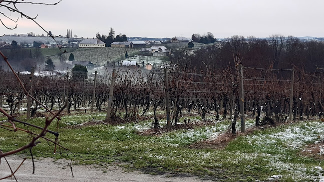 Ptujska Cesta 14, 9250 Gornja Radgona