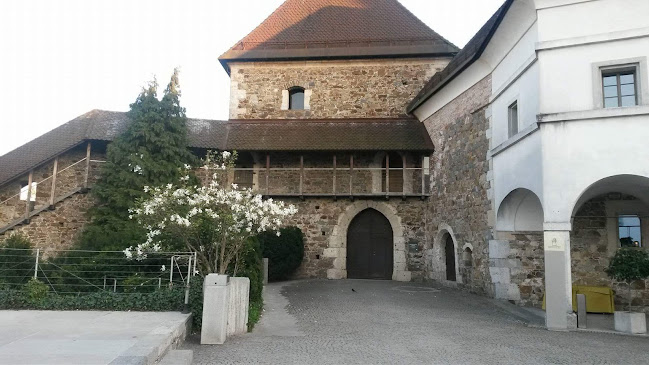 Gostilna na Gradu - Gastronomija in gostinstvo