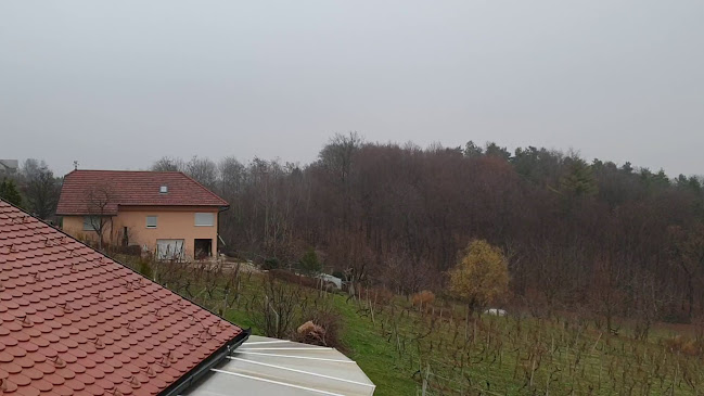 Opinii despre Turizem na podeželju Tompa - Nadica Tompa în Ljutomer - Gastronomija in gostinstvo