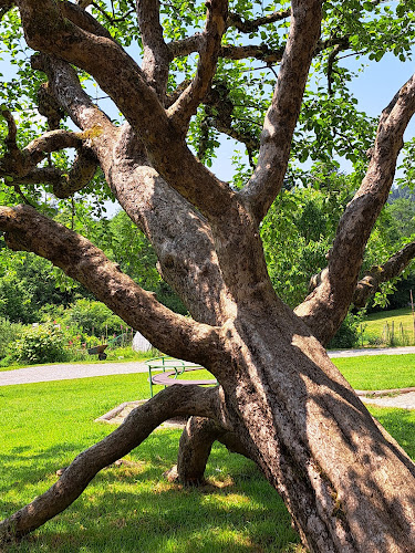 Gostilna Bormes - Gastronomija in gostinstvo