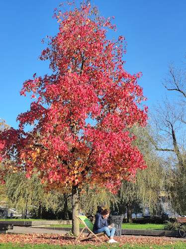 Špica Caffe - Ljubljana