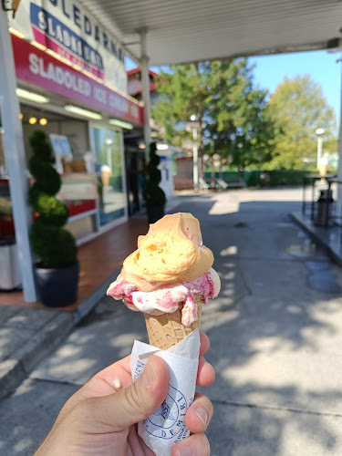 Vilharjeva cesta 9, 6250 Ilirska Bistrica