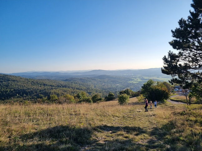 Comentarii opinii despre Koča Mladika na Pečni rebri (733 m)