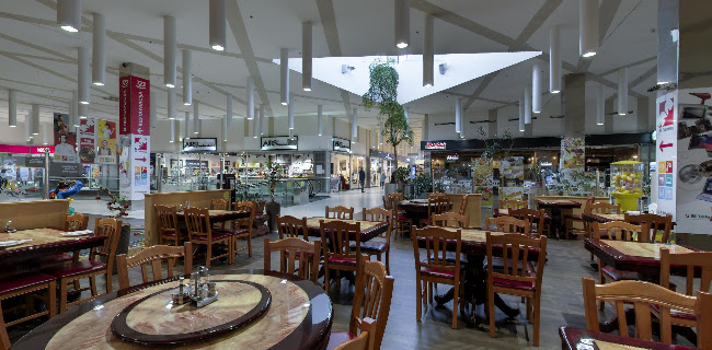 Shanghai City - Gastronomija in gostinstvo