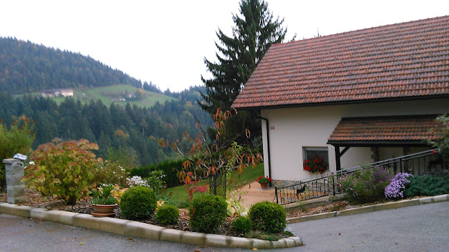 Šentjanž pri Dravogradu 74, 2373 Šentjanž pri Dravogradu