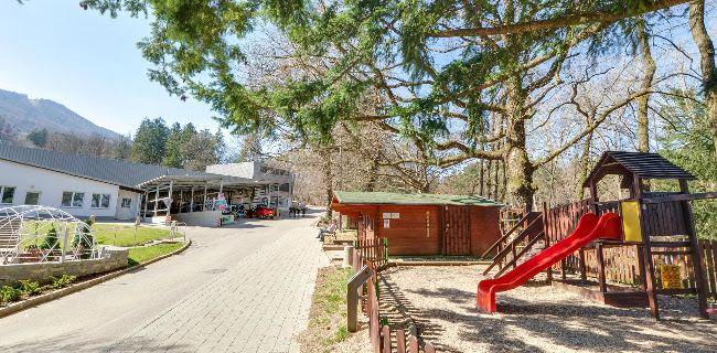 La Cantina POHORJE pizzerija in špageterija - Gastronomija in gostinstvo