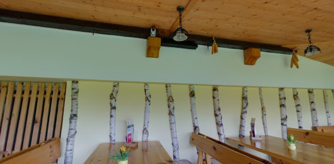 Ledina - picerija, restavracija - Žirovnica