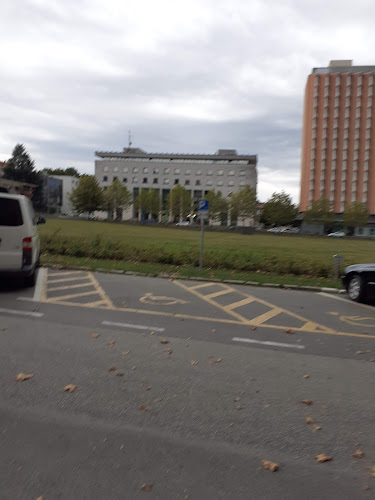 Caffe Trieste - Gastronomija in gostinstvo