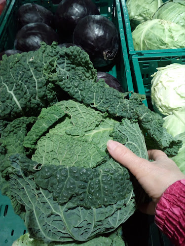 Pekarna Bistrica, proizvodnja in prodaja Pekarskih izdelkov, d.o.o. - Gastronomija in gostinstvo