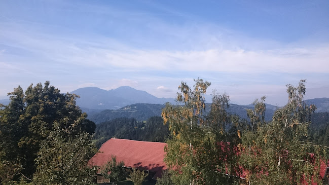 Opinii despre Piknik plac Krevh în Slovenj Gradec - Gastronomija in gostinstvo